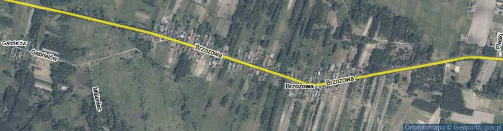 Zdjęcie satelitarne Brzozowa ul.