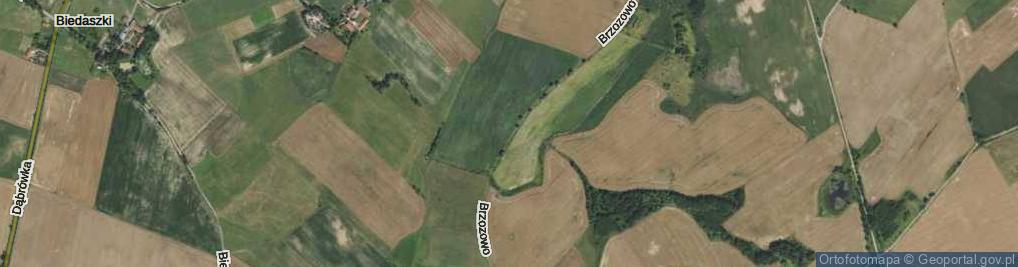 Zdjęcie satelitarne Brzozowo ul.