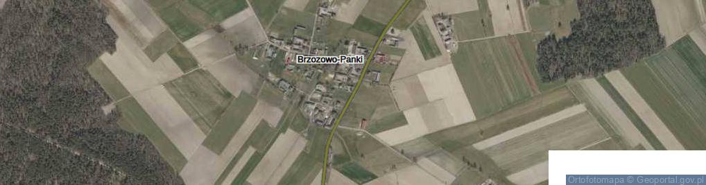 Zdjęcie satelitarne Brzozowo-Panki ul.