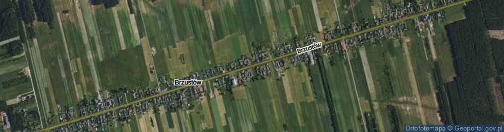 Zdjęcie satelitarne Brzustów ul.