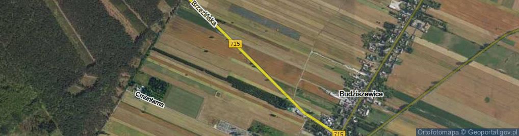Zdjęcie satelitarne Brzezińska ul.