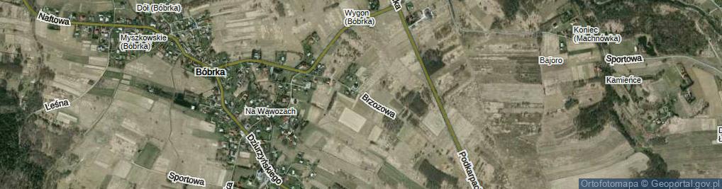 Zdjęcie satelitarne Brzozowa ul.
