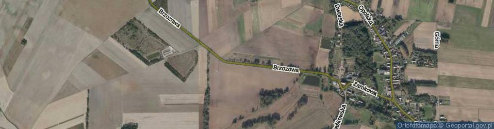 Zdjęcie satelitarne Brzozowa ul.