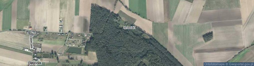 Zdjęcie satelitarne Brzeziak ul.