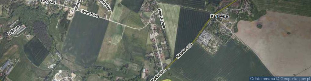 Zdjęcie satelitarne Brzozowa ul.