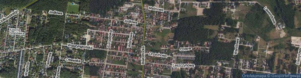 Zdjęcie satelitarne Brzoskwiniowa ul.