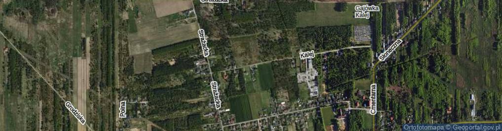 Zdjęcie satelitarne Brzozowa ul.