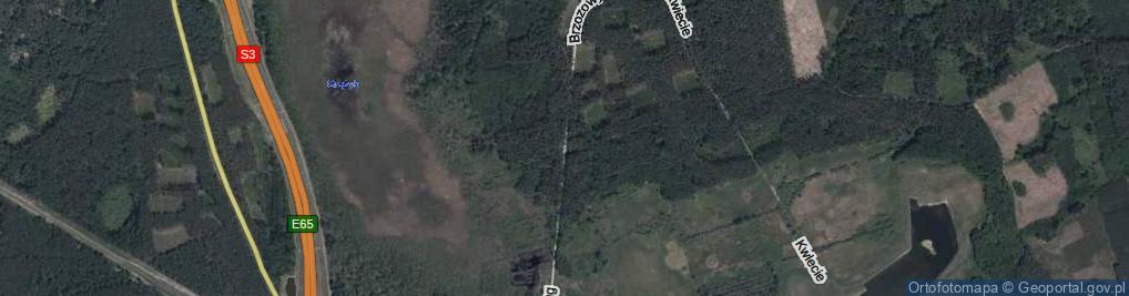 Zdjęcie satelitarne Brzozowy Ług ul.