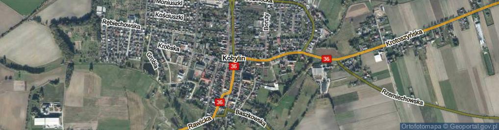 Zdjęcie satelitarne Bruczek ul.