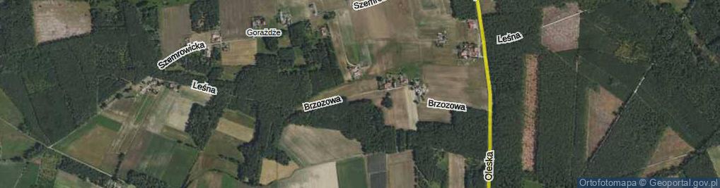 Zdjęcie satelitarne Brzozowa ul.