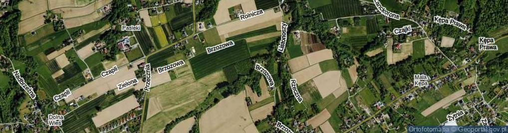 Zdjęcie satelitarne Brzozowa ul.