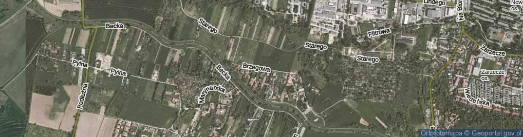 Zdjęcie satelitarne Brzegowa ul.