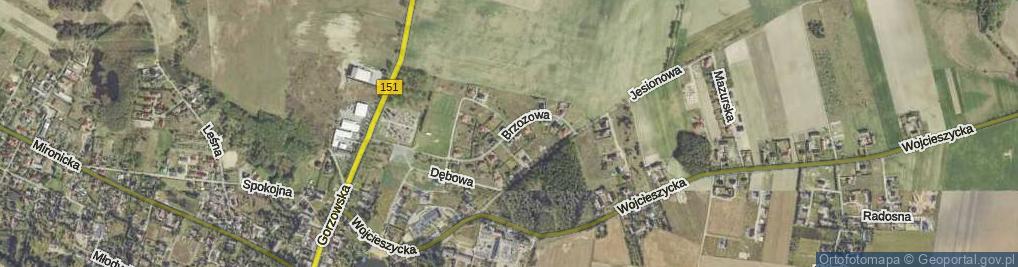 Zdjęcie satelitarne Brzozowa ul.