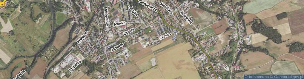 Zdjęcie satelitarne Brzozowa ul.