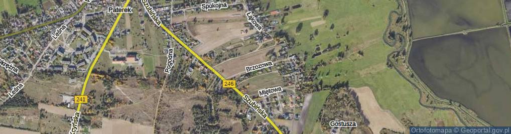 Zdjęcie satelitarne Brzozowa ul.
