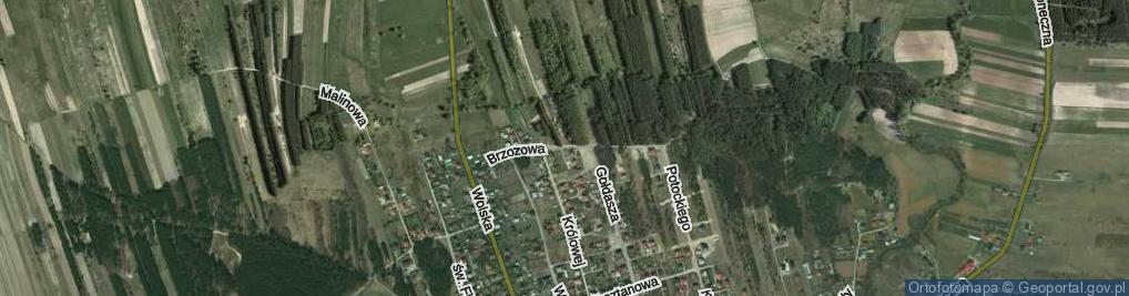 Zdjęcie satelitarne Brzozowa ul.