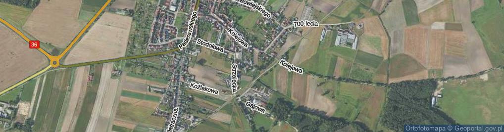 Zdjęcie satelitarne Bractwa Kurkowego ul.