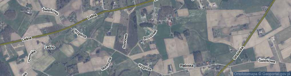 Zdjęcie satelitarne Brzozowa ul.