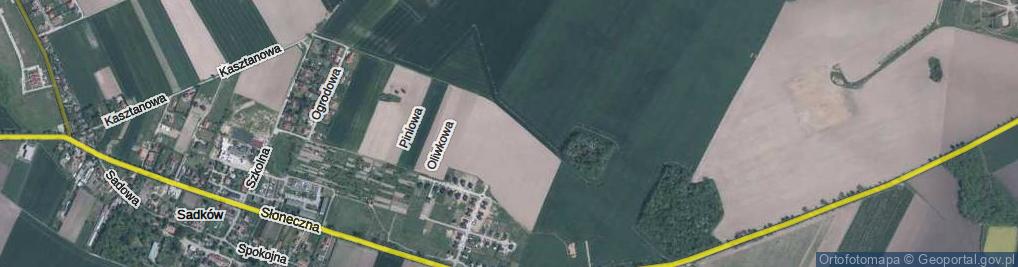 Zdjęcie satelitarne Brzoskwiniowa ul.