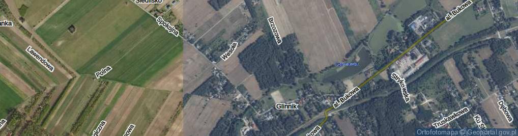 Zdjęcie satelitarne Brzozowa ul.