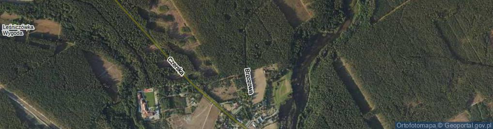 Zdjęcie satelitarne Brzozowa ul.