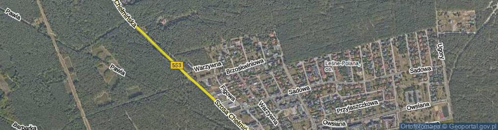 Zdjęcie satelitarne Brzoskwiniowa ul.