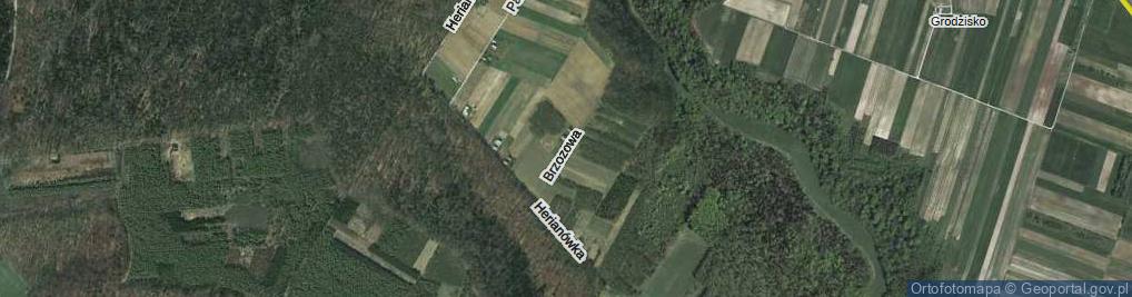 Zdjęcie satelitarne Brzozowa ul.