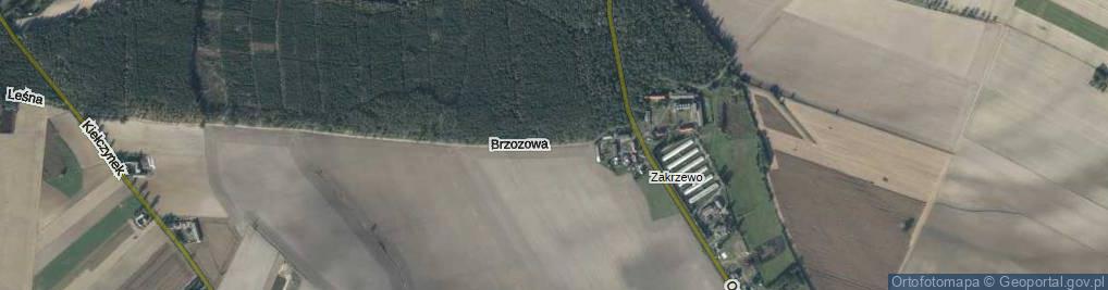 Zdjęcie satelitarne Brzozowa ul.