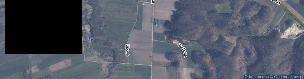 Zdjęcie satelitarne Brzozowa ul.
