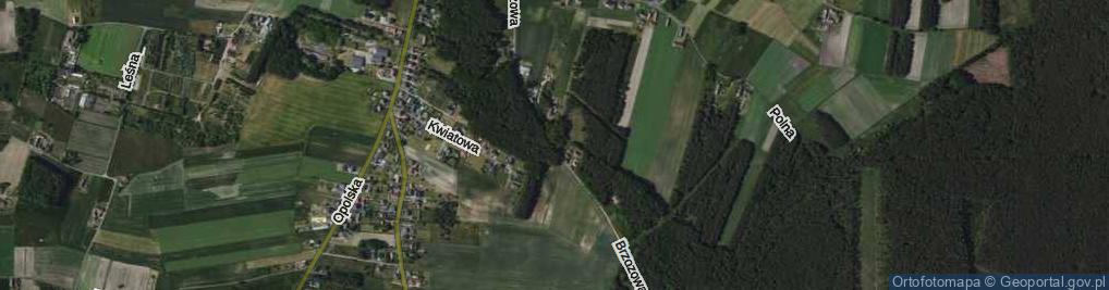 Zdjęcie satelitarne Brzozowa ul.