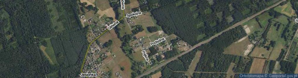 Zdjęcie satelitarne Brzozowy Lasek ul.