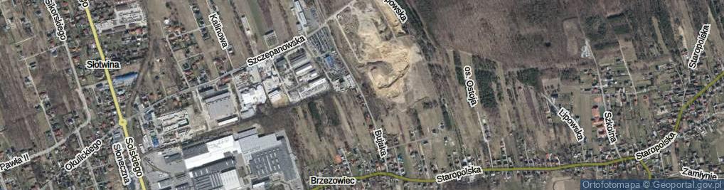 Zdjęcie satelitarne Bujaka Franciszka, prof. dr. ul.