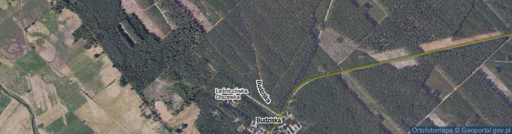 Zdjęcie satelitarne Budziska ul.