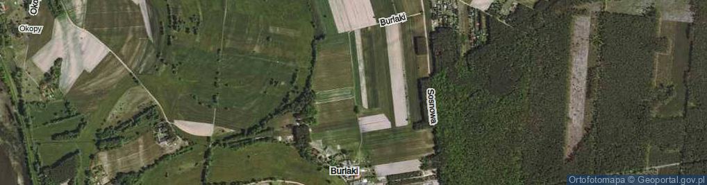 Zdjęcie satelitarne Burlaki ul.