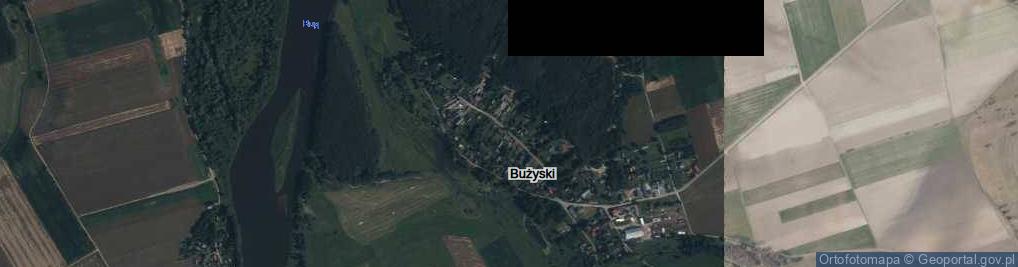 Zdjęcie satelitarne Bużyski ul.