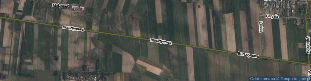 Zdjęcie satelitarne Bursztynowa ul.