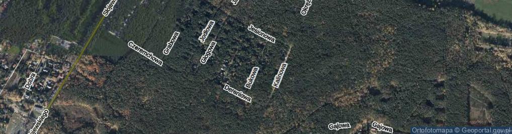 Zdjęcie satelitarne Bukowa ul.