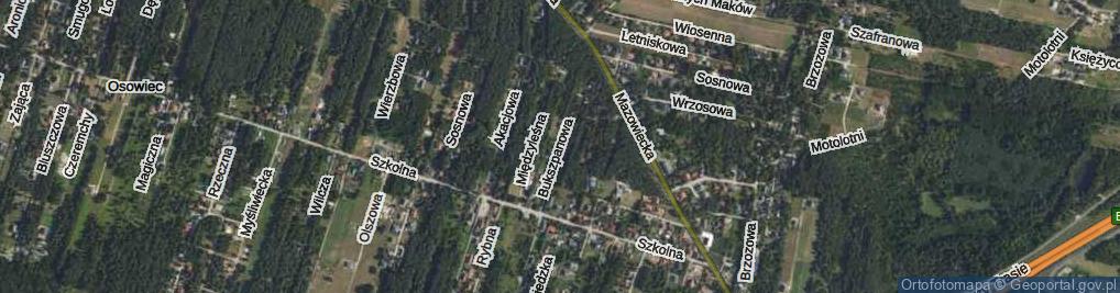 Zdjęcie satelitarne Bukszpanowa ul.