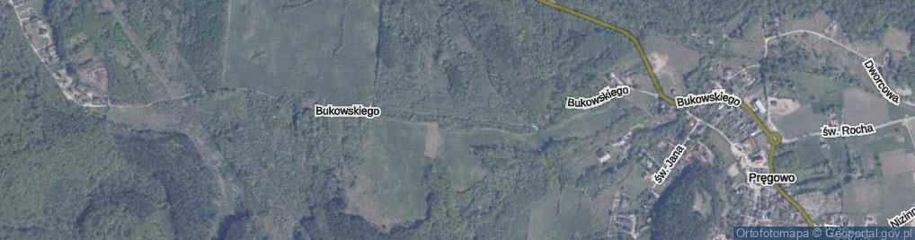 Zdjęcie satelitarne Bukowskiego Bronisława, prof. ul.