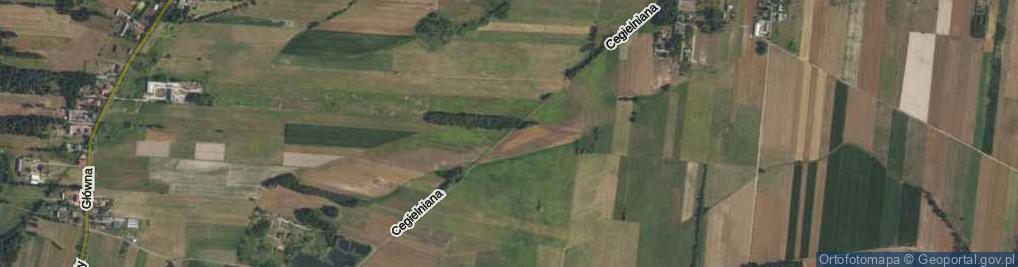 Zdjęcie satelitarne Cegielniana ul.