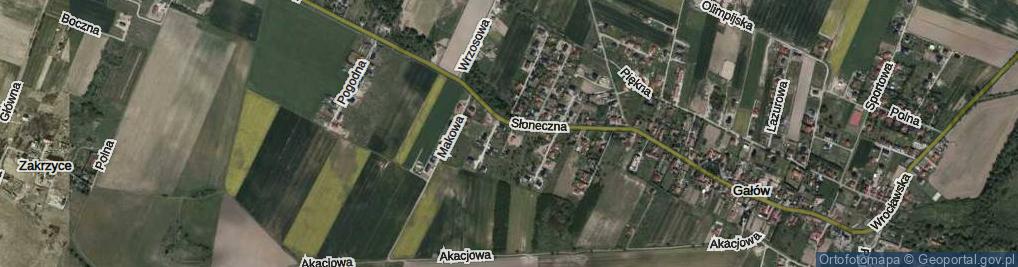 Zdjęcie satelitarne Cedrowa ul.