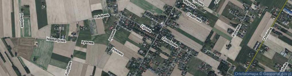 Zdjęcie satelitarne Cedrowa ul.