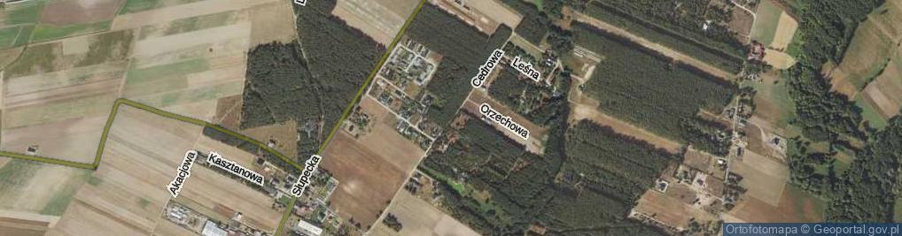 Zdjęcie satelitarne Cedrowa ul.