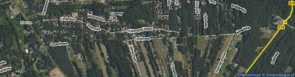 Zdjęcie satelitarne Choinowa ul.