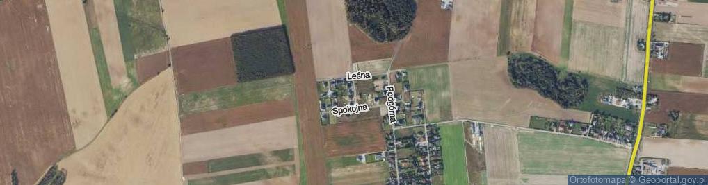 Zdjęcie satelitarne Cicha ul.