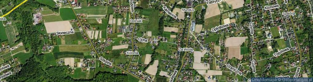 Zdjęcie satelitarne Cicha ul.