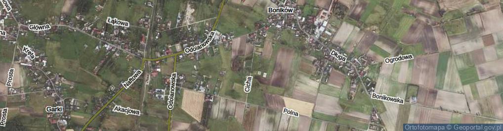 Zdjęcie satelitarne Cicha ul.