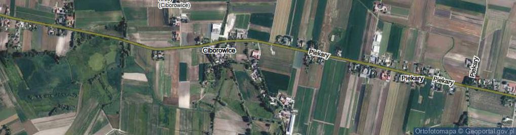 Zdjęcie satelitarne Ciborowice ul.