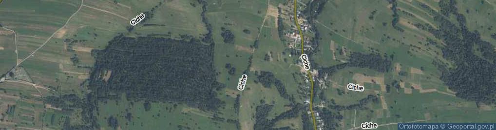 Zdjęcie satelitarne Ciche ul.