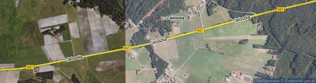Zdjęcie satelitarne Cieloszka ul.